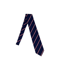 Upload the image to the Gallery viewer, Silk Tie

