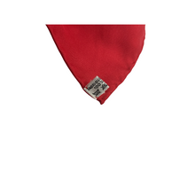 Upload the image to the Gallery viewer, Scarf
